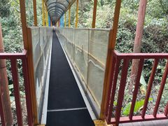 -七仙岭温泉国家森林公园