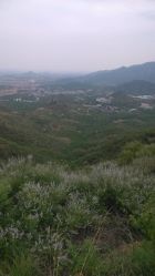 -窦王岭景区游乐场