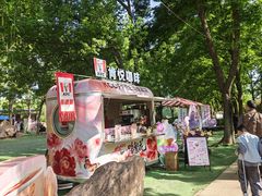 -洛阳市隋唐城遗址植物园