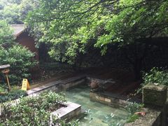 -黄山温泉国际旅游度假区