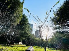 -新虹桥中心花园