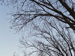 -首都师范大学(良乡校区)