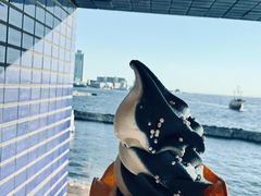 -大阪海游馆