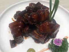 -蝶园·装修中(BFC外滩金融中心店)