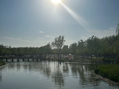 -东郊湿地公园