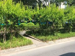 -新江湾城公园