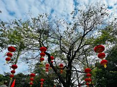 -广州市白云山风景名胜区