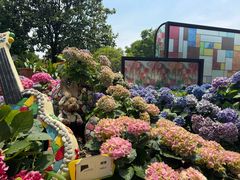 -上海鲜花港