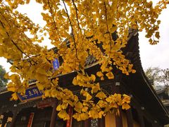 -无锡惠山寺