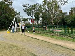 -前小桔亲子创意农场·草莓采摘·露营烧烤