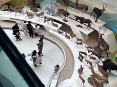 -陕西自然博物馆