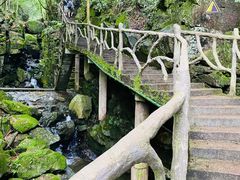 -藏龙百瀑风景区