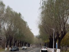 -吉林大学(前卫南校区)