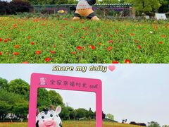 -秀丽东方