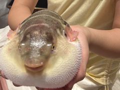 河豚宝宝-永安鱼庄·镇江菜(东吴路店)