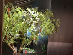 -锦城印象火锅(天府三街店)
