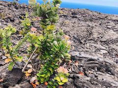 -夏威夷火山国家公园