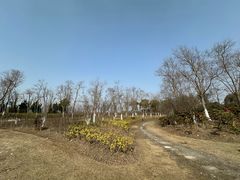 -春花秋色城市公园