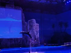 -华夏文旅海洋公园