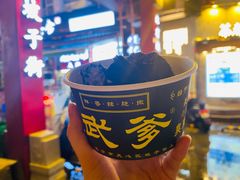 -武爹臭豆腐(坡子街店)