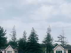 -日照海滨国家森林公园