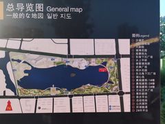 -金沙湖公园