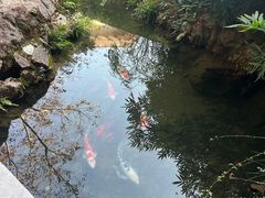 -中国茶叶博物馆(双峰馆区)