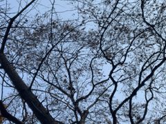 -郑和公园