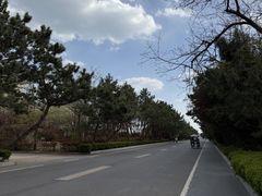 -山东八大碗山东老字号