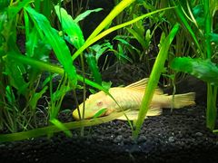 -上海海洋水族馆