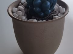 -味餐厅·海鲜·火锅·自助餐