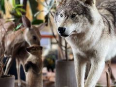 -中国天府农业博览园