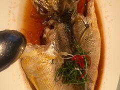 -芙蓉堂(武汉天地店)