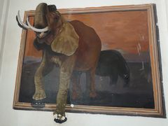 -石家庄市动物园