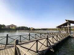 -溱湖国家湿地公园