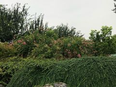 -后海公园