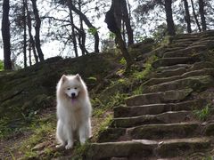 -南山植物园