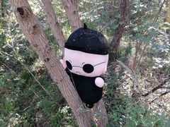 -北京西山国家森林公园