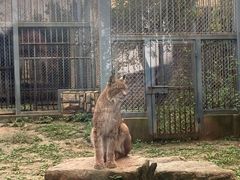 -上方山森林动物世界