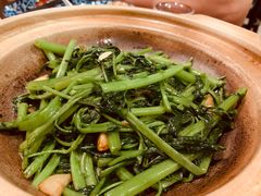 -熠盛粤味·顺德桑拿鸡(永康路店)
