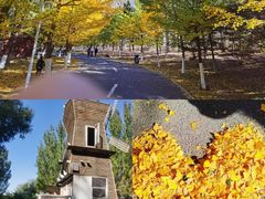 -长白岛森林公园