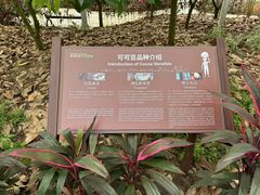 -歌斐颂巧克力小镇