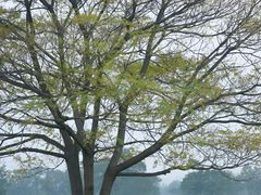 -汉长安城未央宫国家考古遗址公园