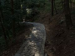 -四明山国家森林公园