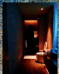 -VELEE·SPA高定疗愈会所