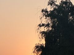 -南山湖公园