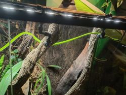 -酷嗒动物文化乐园(cutezoo西溪乐天城店)