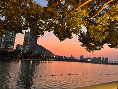 -天鹅湖体育公园