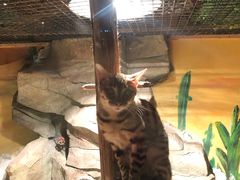 -绿色星球动物主题公园