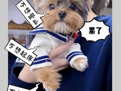 -素心小筑(后沙裕镇店)